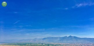 Kurora e gjelbër e Shkodrës, pyllëzohet Ballkoni i Bunës