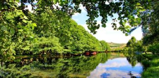 Magjia e Drilonit dhe Tushemishtit, destinacioni përrallor ekoturistik