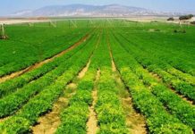 Ja afati deri kur mund të regjistroni tokat bujqësore, falas