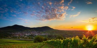 Ja çfarë përfitojnë fermerët kur pajisen me çertifikatën e pronësisë për tokën bujqësore