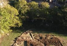 Portreti i rrallë i Skënderbeut me degë pemësh shfaqet në Orosh