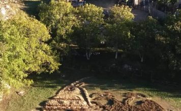 Portreti i rrallë i Skënderbeut me degë pemësh shfaqet në Orosh