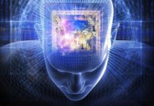 Nuk është fantazi, po shkojmë drejt lidhjes së trurit me kompjuterin