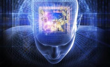 Nuk është fantazi, po shkojmë drejt lidhjes së trurit me kompjuterin