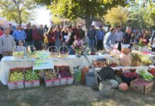 Festë në Maliq, vizitorët “shijojnë” Panairin e Ëmbëlsirave