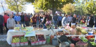 Festë në Maliq, vizitorët “shijojnë” Panairin e Ëmbëlsirave