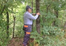 Specialistët nisin inventarizimin kombëtar të pyjeve dhe kullotave