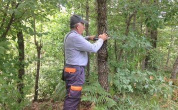 Specialistët nisin inventarizimin kombëtar të pyjeve dhe kullotave