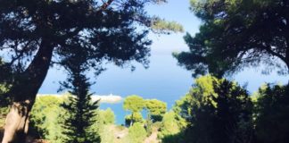 Projekt 3-vjeçar për mbrojtjen e biodiversitetit në Parkun Detar Karaburun-Sazan