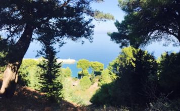 Projekt 3-vjeçar për mbrojtjen e biodiversitetit në Parkun Detar Karaburun-Sazan