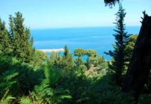 FOTOT/ Pamjet që shndërruan Karaburunin dhe Sazanin në destinacion turistik