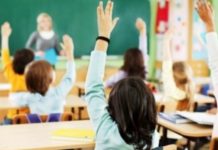 Së shpejti, gjuha rome do të futet në shkollat shqiptare