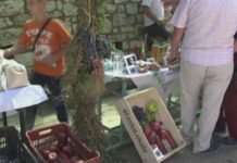 Panairi i Roshnikut, prezantohen prodhimet e zonës