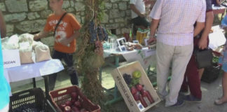 Panairi i Roshnikut, prezantohen prodhimet e zonës