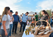 Ndroq, zhvillohet “Vera n’Shesh”, një risi për të promovuar produktet vendase