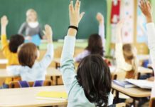 Përulemi para jush! Si lindi Dita Botërore e Mësuesit