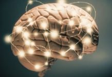 Zhvillimi i trurit, 4 ushqime që përmirësojnë kujtesën tuaj