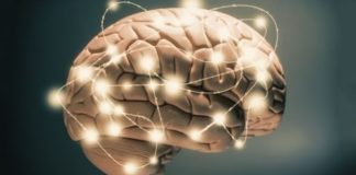 Zhvillimi i trurit, 4 ushqime që përmirësojnë kujtesën tuaj