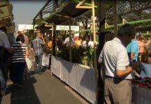 Brukseli jep 90 milionë euro për fermerët shqiptarë