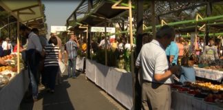 Brukseli jep 90 milionë euro për fermerët shqiptarë