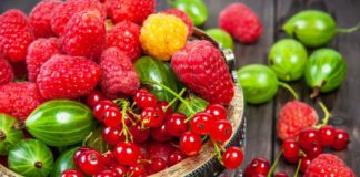 Frutat e pyllit, aleate të shkëlqyera për një shëndet të mirë