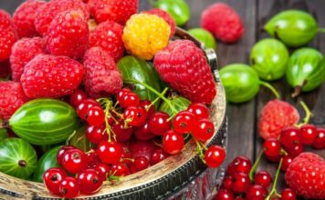 Frutat e pyllit, aleate të shkëlqyera për një shëndet të mirë