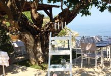 Kush del më shumë për darka? Zbuloni qytetin verior në Shqipëri që shpenzon e më shumë se europianët