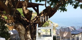 Kush del më shumë për darka? Zbuloni qytetin verior në Shqipëri që shpenzon e më shumë se europianët