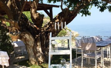 Kush del më shumë për darka? Zbuloni qytetin verior në Shqipëri që shpenzon e më shumë se europianët