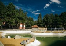 Foto/ Korçë, vazhdon puna për Parkun Japonez