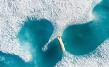 Fotot më të bukura të javës, rrotull botës me dron