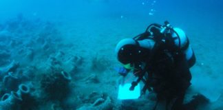 FOTOT/ Zbulohen relikte 2 mijë vjeçare, Gjiri detar i Durrësit plot me thesare arkeologjike