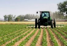 Miratohen fondi 620 milionë lekë për bujqësinë, ja kush përfiton