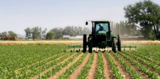 Rimbursimi e përjashtimi nga TVSH i shërbimeve në bujqësi, hyn në fuqi udhëzimi