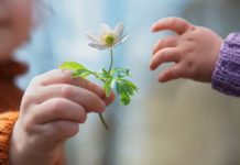 “Jeta merr kuptim të vërtetë, vetëm kur jep. Të jetosh, do të thotë të japësh”