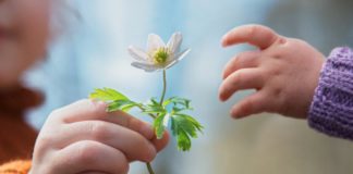 “Jeta merr kuptim të vërtetë, vetëm kur jep. Të jetosh, do të thotë të japësh”