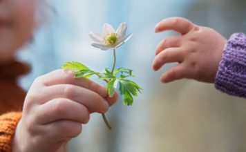 “Jeta merr kuptim të vërtetë, vetëm kur jep. Të jetosh, do të thotë të japësh”