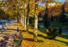 Politikat mjedisore, Tirana shembull suksesi nga OBSH