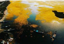 FOTOT/ Magjia e vjeshtës! Këto pamje përrallore nuk janë larg nga Tirana