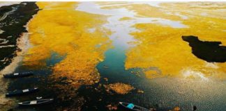 FOTOT/ Magjia e vjeshtës! Këto pamje përrallore nuk janë larg nga Tirana