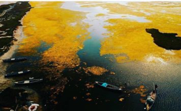 FOTOT/ Magjia e vjeshtës! Këto pamje përrallore nuk janë larg nga Tirana