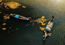 Ishulli i Pelikanit në Divjakë, live edhe nga telefoni