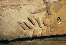 Gjiganti mediatik amerikan: Shqipëria, thesar i çmuar i zbulimeve arkeologjike