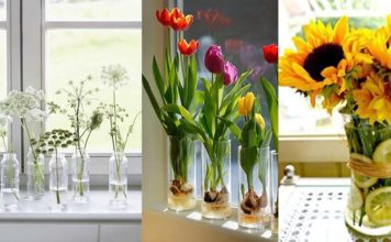 Studimi/ 5 arsyet pse keni nevojë për bimë dhe lule në shtëpi dhe zyra