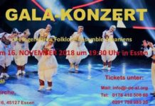 “Nëntori Shqiptar 2018”, Ansambli Popullor dhe perlat e folklorit shkojnë në Gjermani