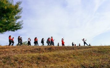 Gjimnazistët e Tiranës në garë; kush mbjell më shumë pemë dhe kush pedalon më shumë