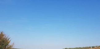 FOTOT/ Transformimi i rrugës Cërrik-Belsh-Kuçovë-Ura Vajgurore