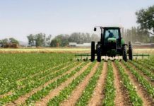 IPARD, do të financohen edhe 4 masa të reja në mbështetje të bujqësisë