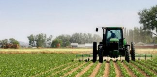 IPARD II, nis shqyrtimi i dosjeve për 314 fermerë