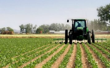 Mbyllet faza e parë të programit IPARD II, nis shqyrtimi i dosjeve